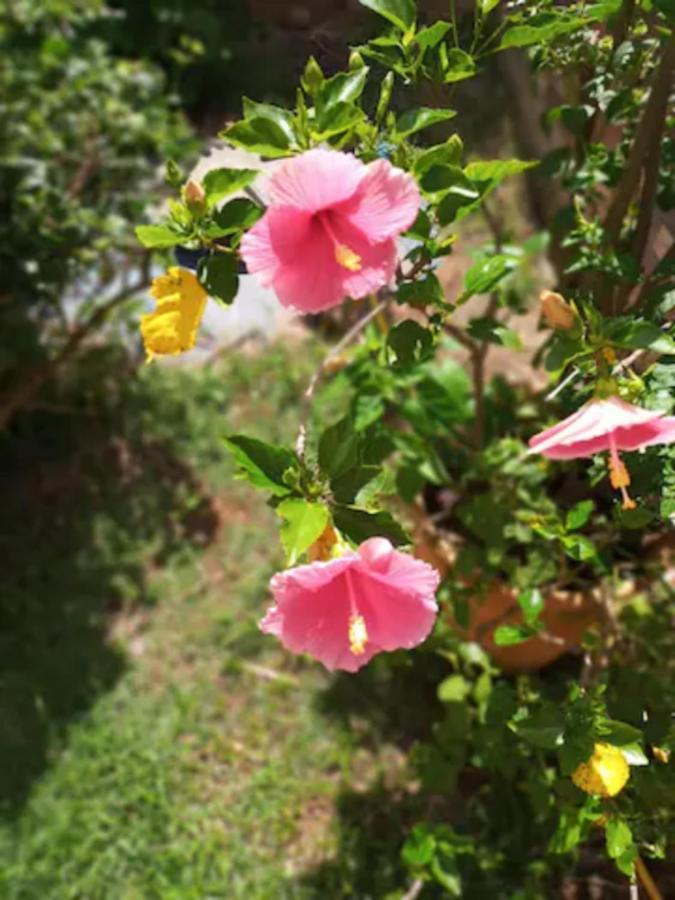 Casa Com Spa De Hidro, Aquecedor E Cromoterapia A 1,0 Km Do Centro Chapada dos Guimarães Esterno foto